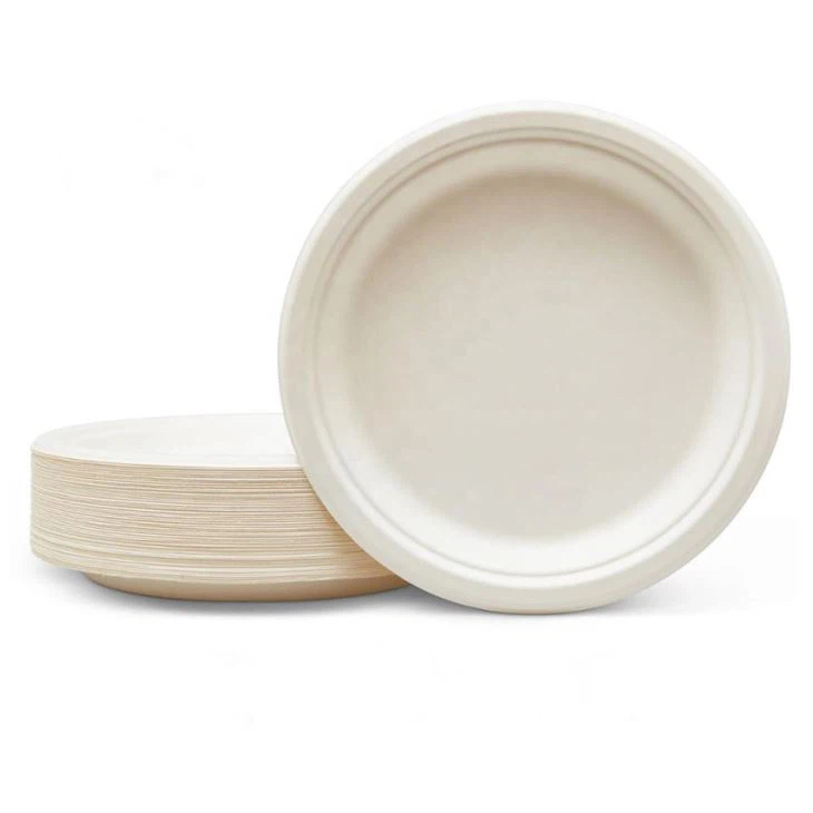 PLATO BIO 7"